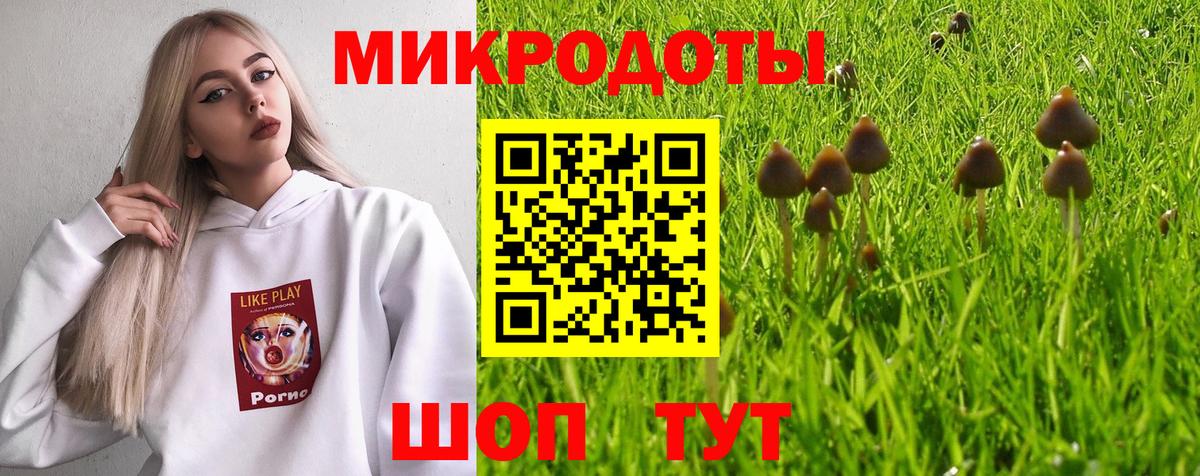 Псилоцибиновые грибы Psilocybine cubensis Грязи